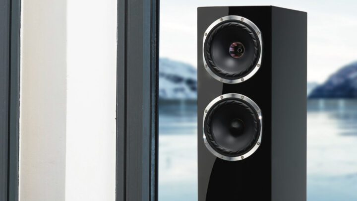 Fyne Audio F501SP hangfal Gedeon