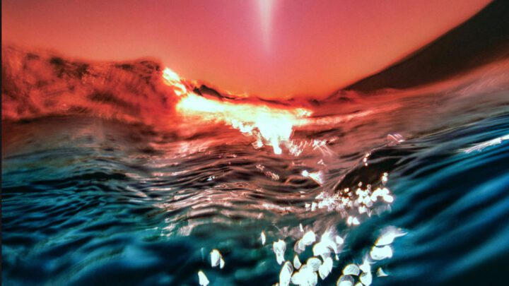 Bonobo - Rosewood zeneajánló