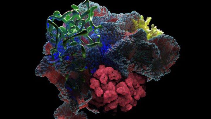 Dixon Ame Limbo zeneajánló GedeonAudio