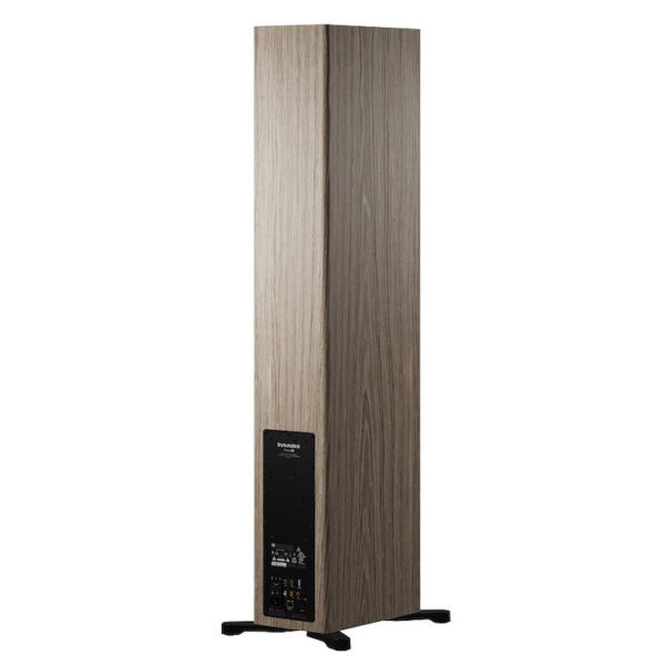 Dyneaudi Focus 50 Aktív hangfal Gedeon Audio