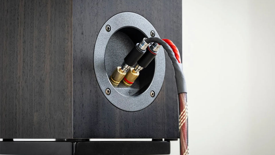 Pro-Ject Connect it LS DS banándugó Gedeon Audio