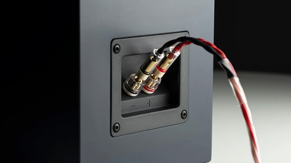 Pro-Ject Connect it LS E banándugó Gedeon Audio